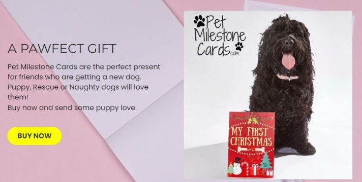 寵物生意 寵物生意